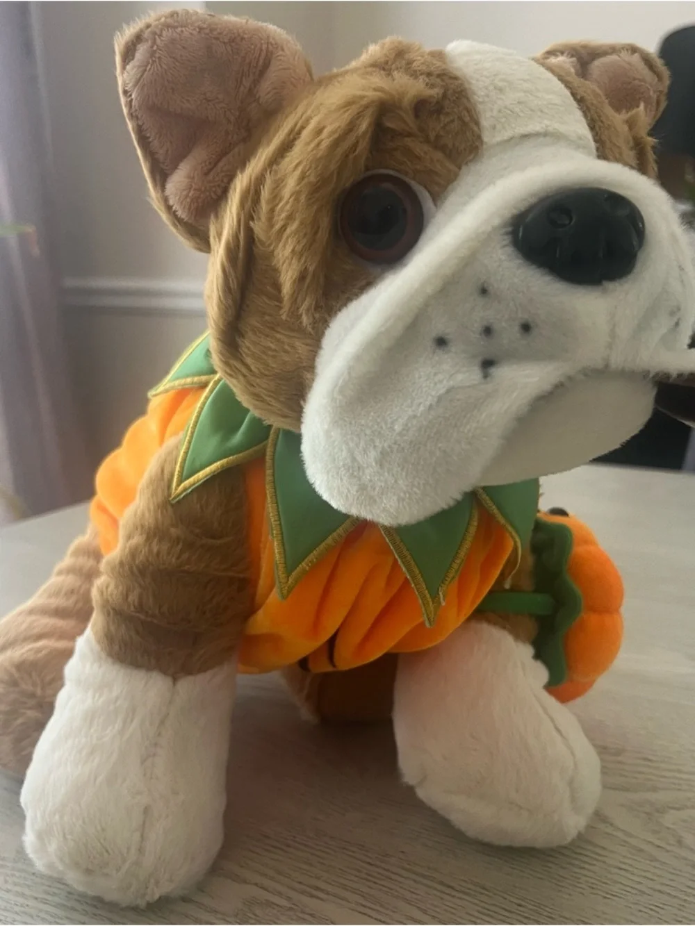 Teddy Mountain 16” Plush Bull Dog w/Pumpkin Costume~DIY‎ Birthday Craft